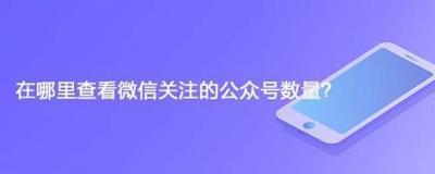 我的关注的公众号，查看微信关注的所有公众号