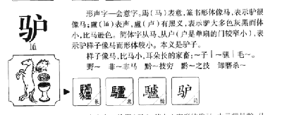 驴的拼音手机怎么打