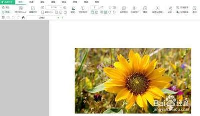 迅读pdf大师怎样进行截图