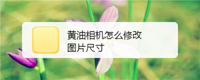 黄油相机怎么调整图片大小