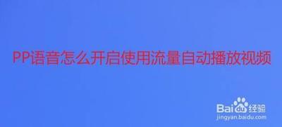 PP语音怎么开启使用流量自动播放视频