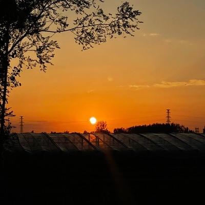 微信如何关闭超级影视vip自动续费