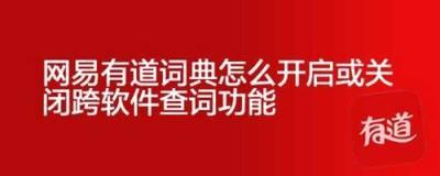 网易有道词典怎么关闭跨软件查词功能