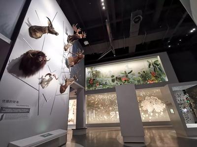 浙江自然博物馆预约，教你微信上预约浙江自然博物馆