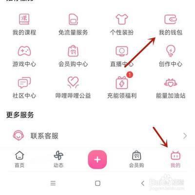 哔哩哔哩怎么查看B币账单明细