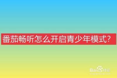 番茄畅听如何开启青少年模式