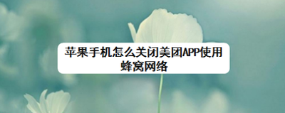 苹果手机怎么关闭美团APP使用蜂窝网络