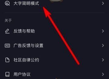 抖音怎么开启大字简明模式