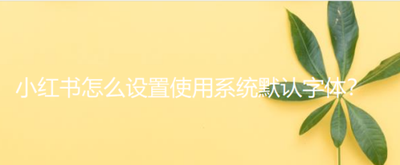 小红书怎么设置使用系统默认字体