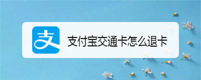 支付宝交通卡怎么退卡