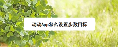 动动App怎么设置步数目标