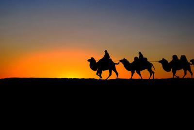 为什么越傻的人越容易成功？探讨成功的非传统因素