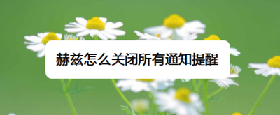 赫兹怎么关闭所有通知提醒