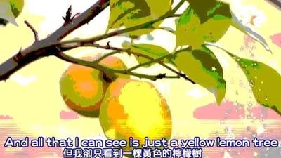 为什么柠檬树能成为经典传唱的歌曲