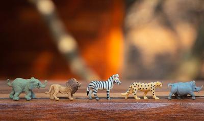 平角裤和五分裤有什么区别