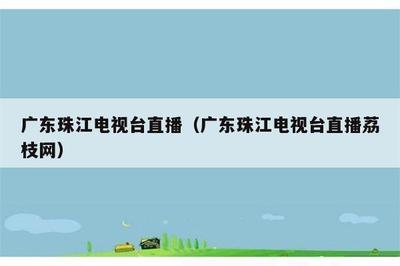 荔枝台珠江直播电视版如何安装和使用
