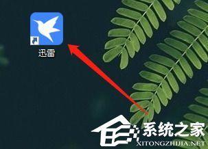 迅雷11怎么进入迅雷论坛 迅雷11进入迅雷论坛方法