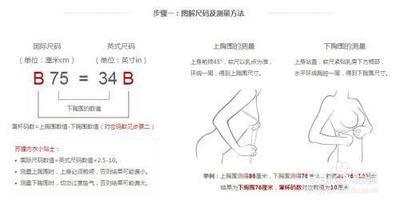 如何准确判断女性文胸尺码呢