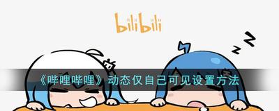 哔哩哔哩动态如何设置仅自己可见 B站设置动态仅自己可见方法