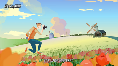 数码相机和单反相机有区别吗