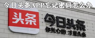 今日头条密码忘了怎么办 今日头条找回密码方法