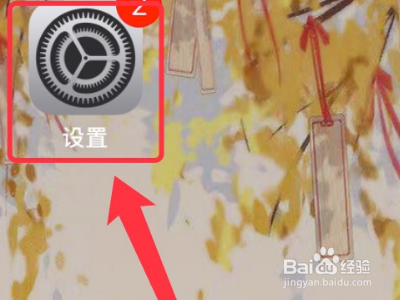 苹果怎么设置流量限制