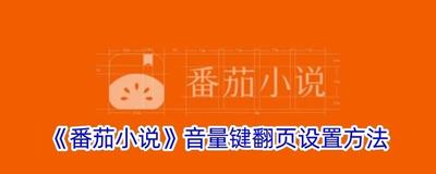 番茄小说怎么设置音量键翻页 番茄小说设置音量键翻页方法 番茄小说怎么设置音量键翻页 番茄小说设置音量键翻页方法