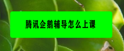 腾讯企鹅辅导如何领取课程 腾讯企鹅辅导领取课程上课方法
