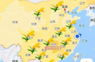 高德地图稻穗为什么没有