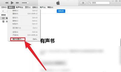 iTunes怎么导入MP3编码器 iTunes导入MP3编码器教程