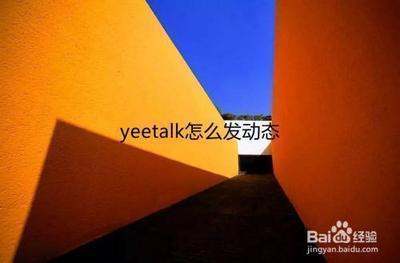 yeetalk怎么发动态 yeetalk发动态方法