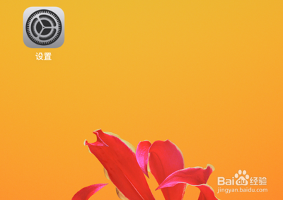 苹果iOS14怎么开启自动接听通话 iOS14自动接听的设置技巧