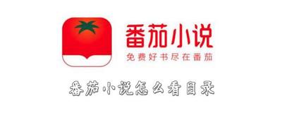 番茄小说怎么查找目录 番茄小说查找目录方法