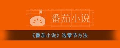 番茄小说怎么选章节