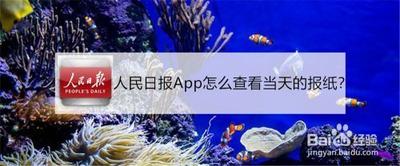 人民日报APP怎么查看报纸页面 人民日报查看报纸页面方法