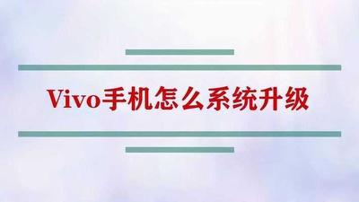 vivo手机怎么更新系统