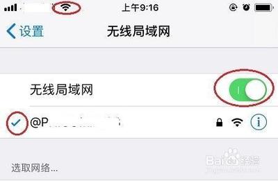 苹果手机内置浏览器safari打不开网页问题怎么解决