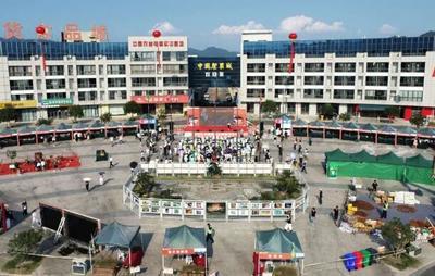 惊临安天阳淘宝城底下真的埋了三条人命吗