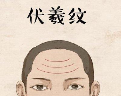 为什么会有种抬头纹图解 为什么会有种抬头纹图解