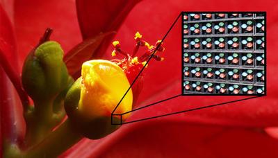 单反相机入门怎么理解各项参数