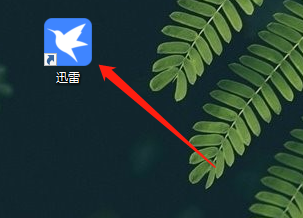 迅雷11怎么诊断下载网络信息 迅雷11诊断下载网络信息的操作方法