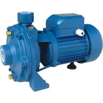 台州泵业十大品牌有哪些