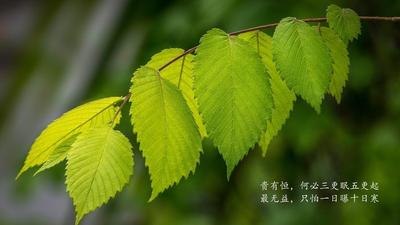 为什么我无法开抖音直播 有以下5种原因