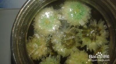 菊花泡出来变绿色是什么原因 菊花茶为什么第二天变绿了