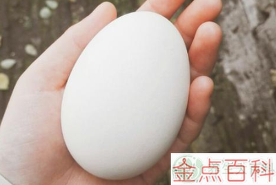 鹅蛋保质期是多久 鹅蛋冻了还能不能吃了