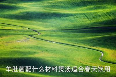 羊肚菌可以和什么煲汤 羊肚菌哪些人不宜吃 羊肚菌可以和什么煲汤 羊肚菌哪些人不宜吃