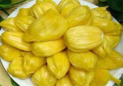 菠萝蜜可以放冰箱吗 菠萝蜜可以冷冻吗