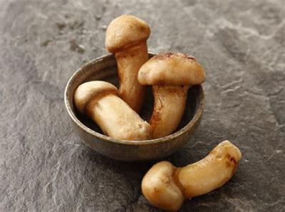 鲜松茸是冷藏还是冷冻 鲜松茸怎么保存时间长