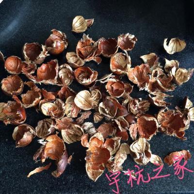 栗子怎么剥皮最简单 带刺的栗子怎么剥皮