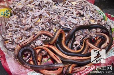 黄鳝寄生虫如何杀死 黄鳝的寄生虫高温能杀死吗
